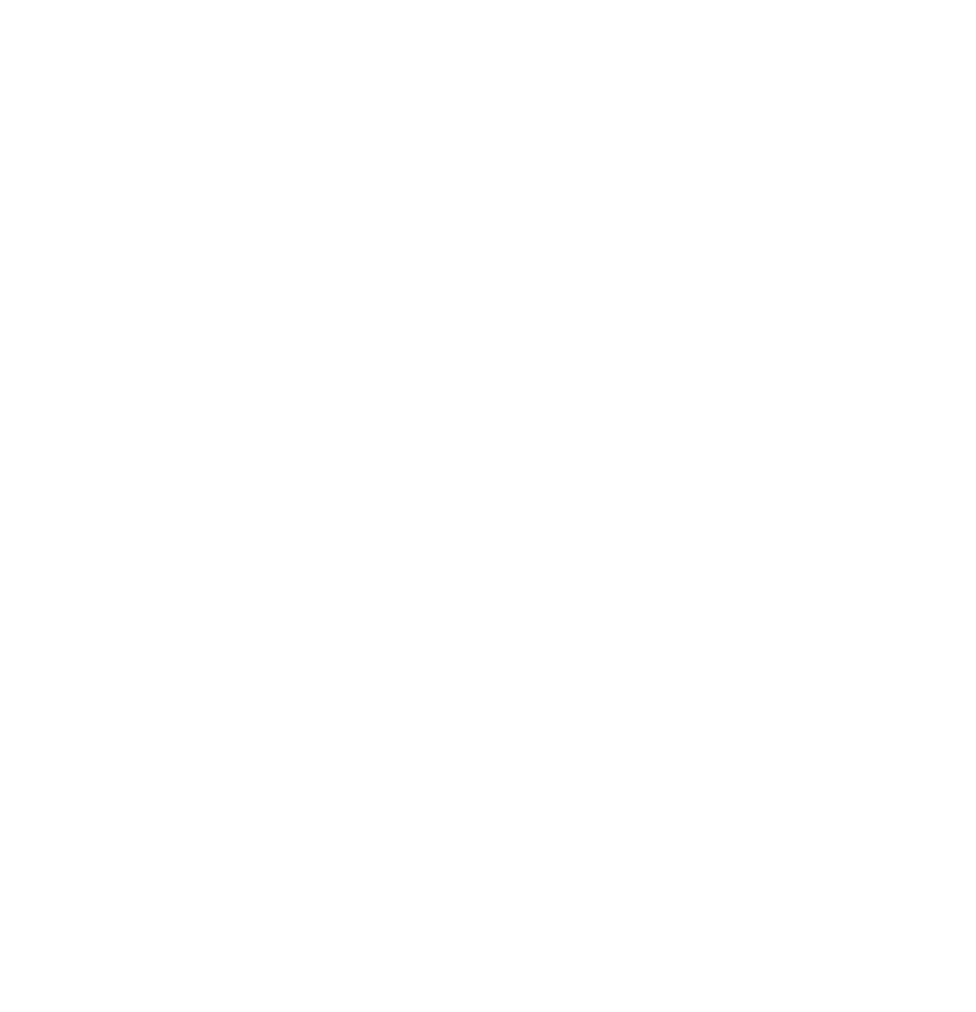 Fiber Gaming Network